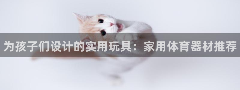 三亿体育官方正版app集团logo：为孩子们设计的实用玩具：