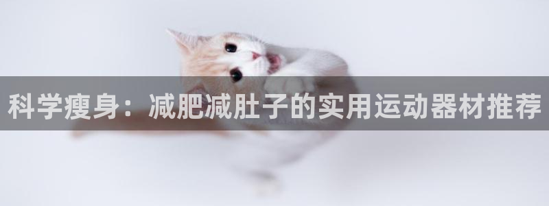 三亿体育官方正版app新能源：科学瘦身：减肥减肚子的实用运动