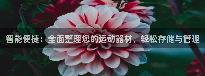 三亿体育官网下载平台是正规平台吗知乎：智能便捷：全面整理您的