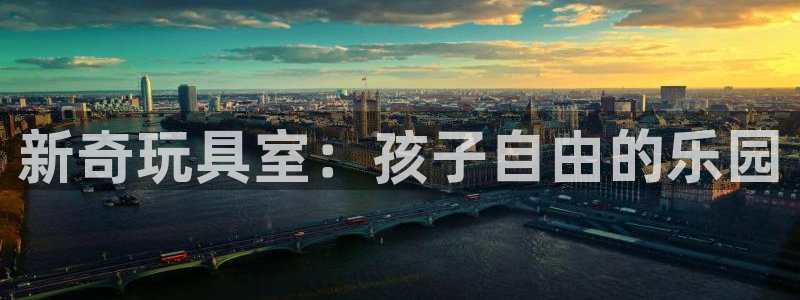 三亿体育官网下载是干嘛的公司：新奇玩具室：孩子自由的