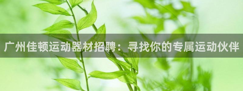 三亿体育官方正版app娱乐下载：广州佳顿运动器材招聘：寻找你