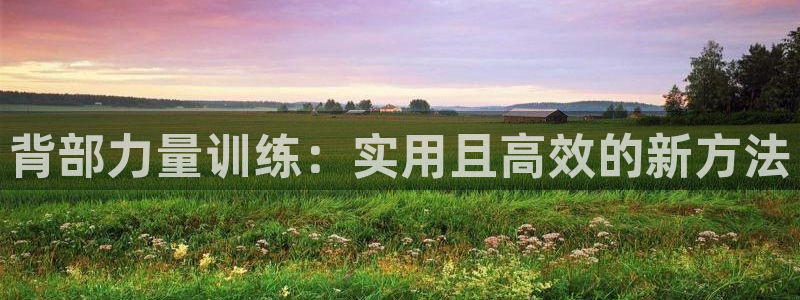 三亿体育官网下载娱乐：背部力量训练：实用且高效的新方法