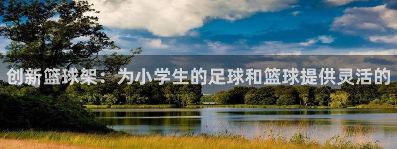 三亿官方集团官网：创新篮球架：为小学生的足球和篮球提
