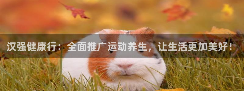 球速体育