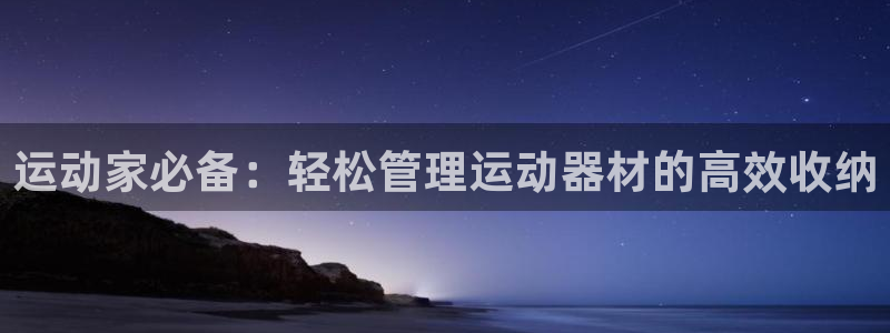 三亿体育官方正版app集团logo：运动家必备：轻松