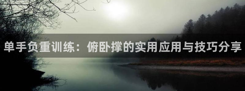 三亿体育官方正版app娱乐是那个系列的台子:单手负重训练:俯