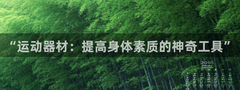 三亿体育官网下载平台注册：“运动器材：提高身体素质的