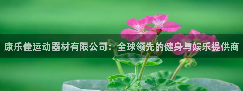 三亿体育官网下载招商电话地址查询:康乐佳运动器材有限公司:全