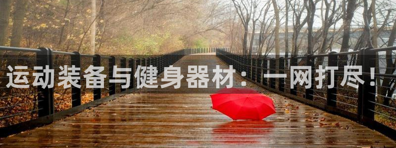 三亿体育官网下载平台APP:运动装备与健身器材:一网打尽!