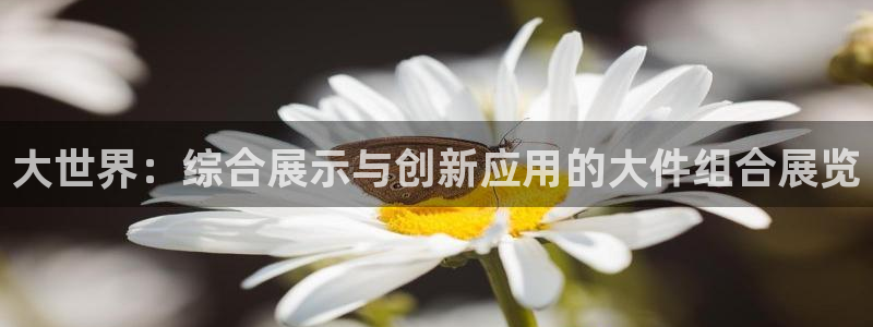三亿体育官方正版app娱乐网站:大世界:综合展示与创新应用的