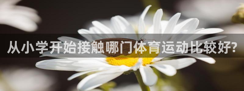 球速体育