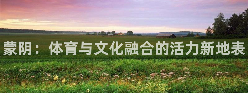 球速体育