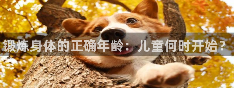 球速体育