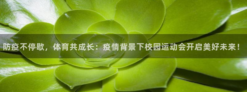 球速体育