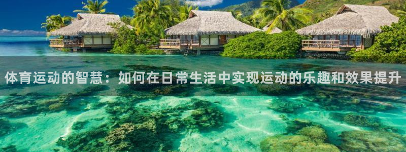 球速体育