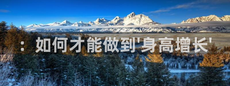 球速体育