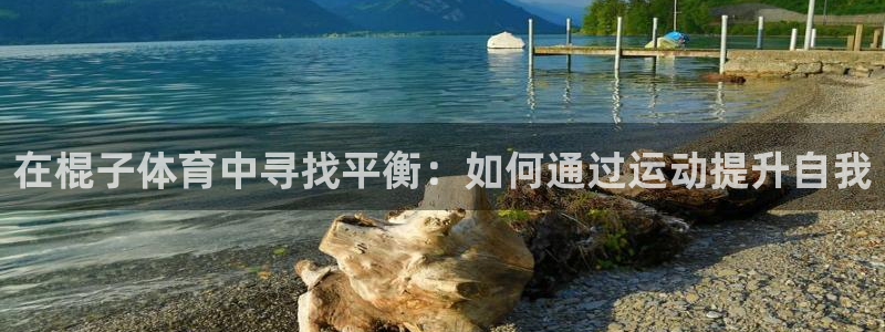 球速体育