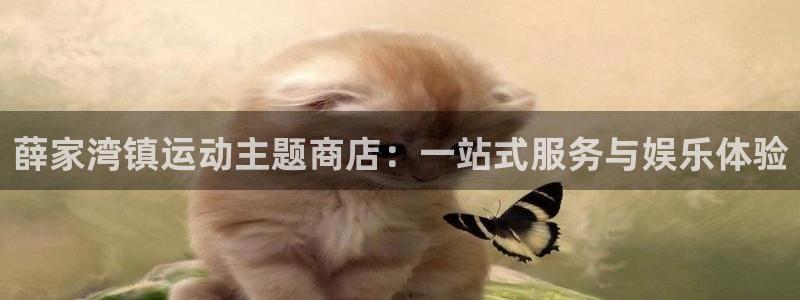 球速体育