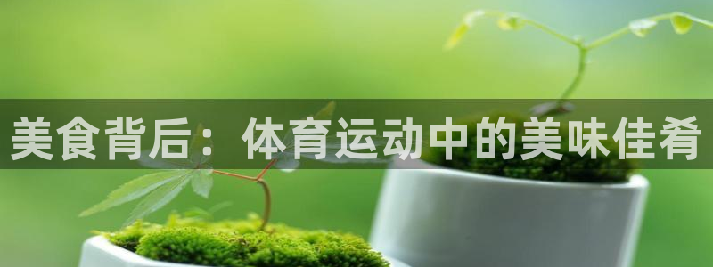 球速体育